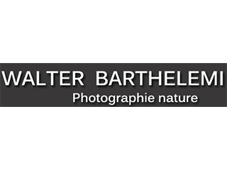 Walter Barthelemi