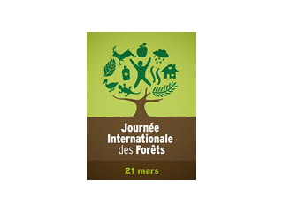 Journée international de la forêt